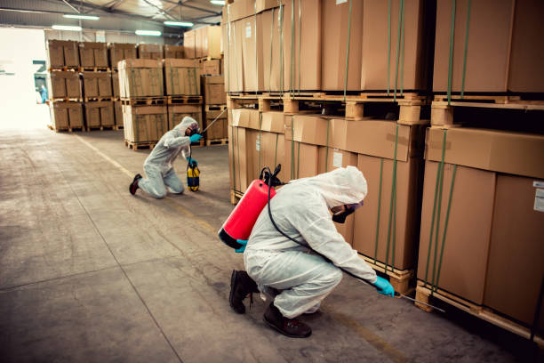 Best Flea Control Services  in Bushnell, FL