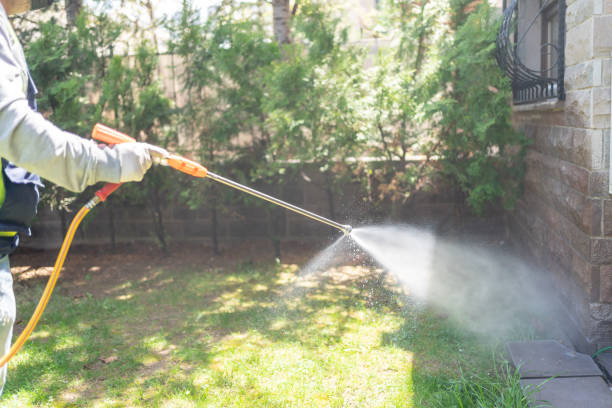 Best Pest Removal Services  in Bushnell, FL