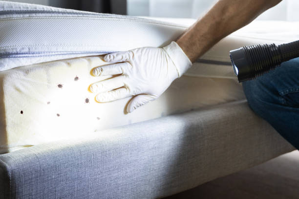 Trusted Bushnell, FL Pest Control Experts