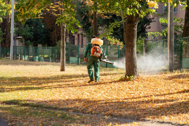 Best Rodent Control Near Me  in Bushnell, FL