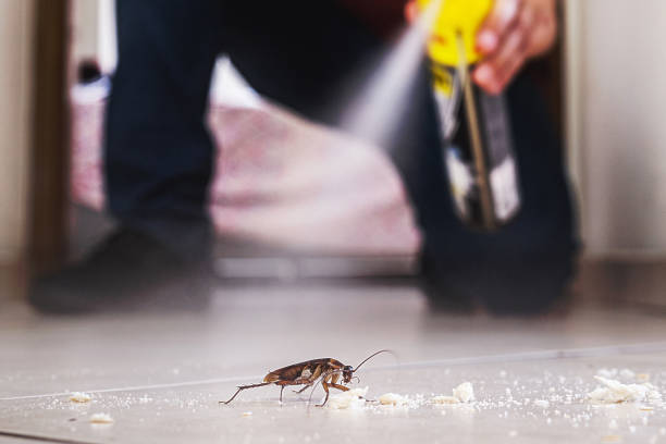 Pest Prevention Services in Bushnell, FL