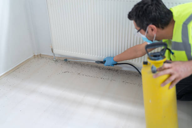 Best Pest Control Near Me in Bushnell, FL