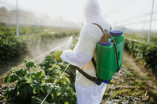 Best Wasp Removal Services  in Bushnell, FL